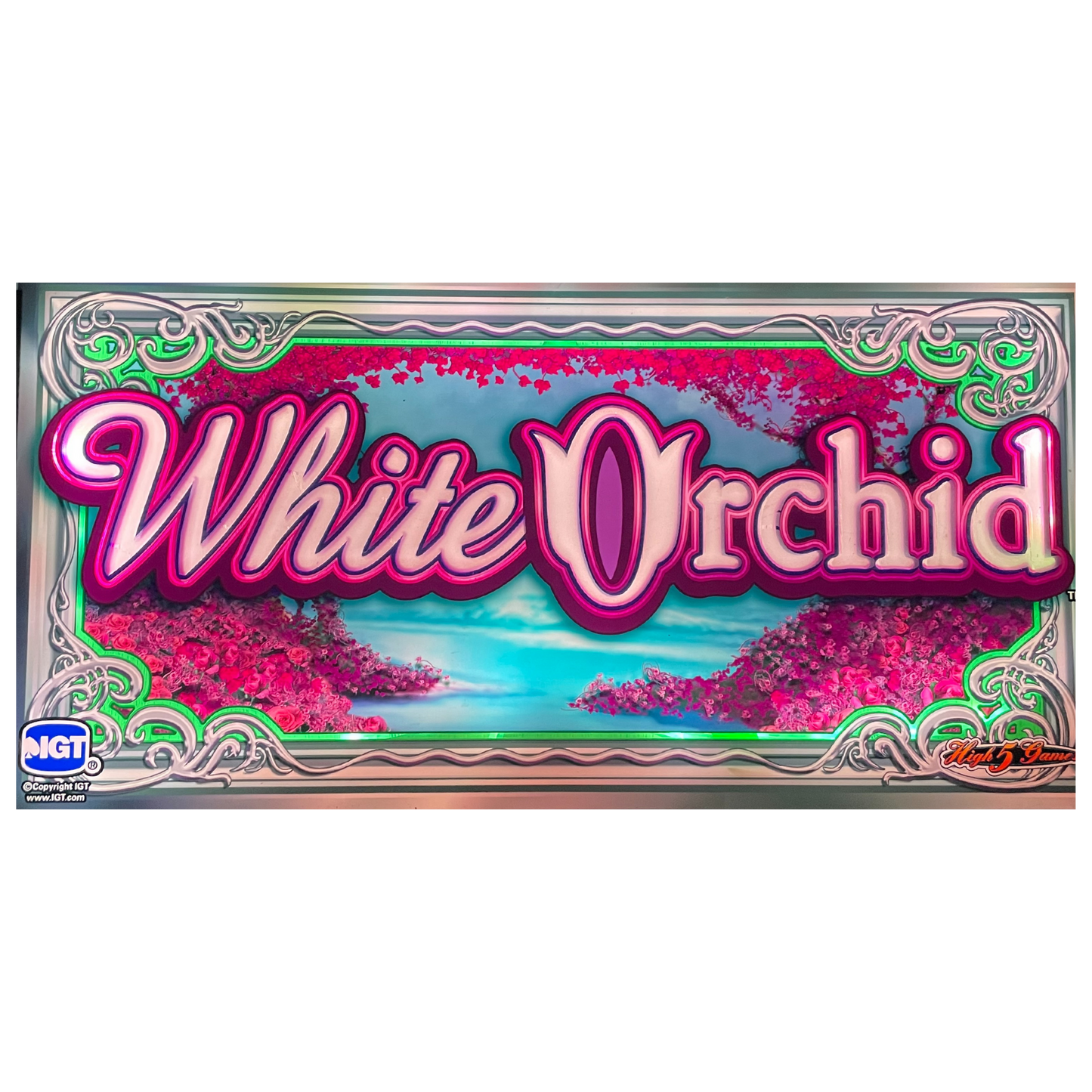 White Orchid Slot Glass