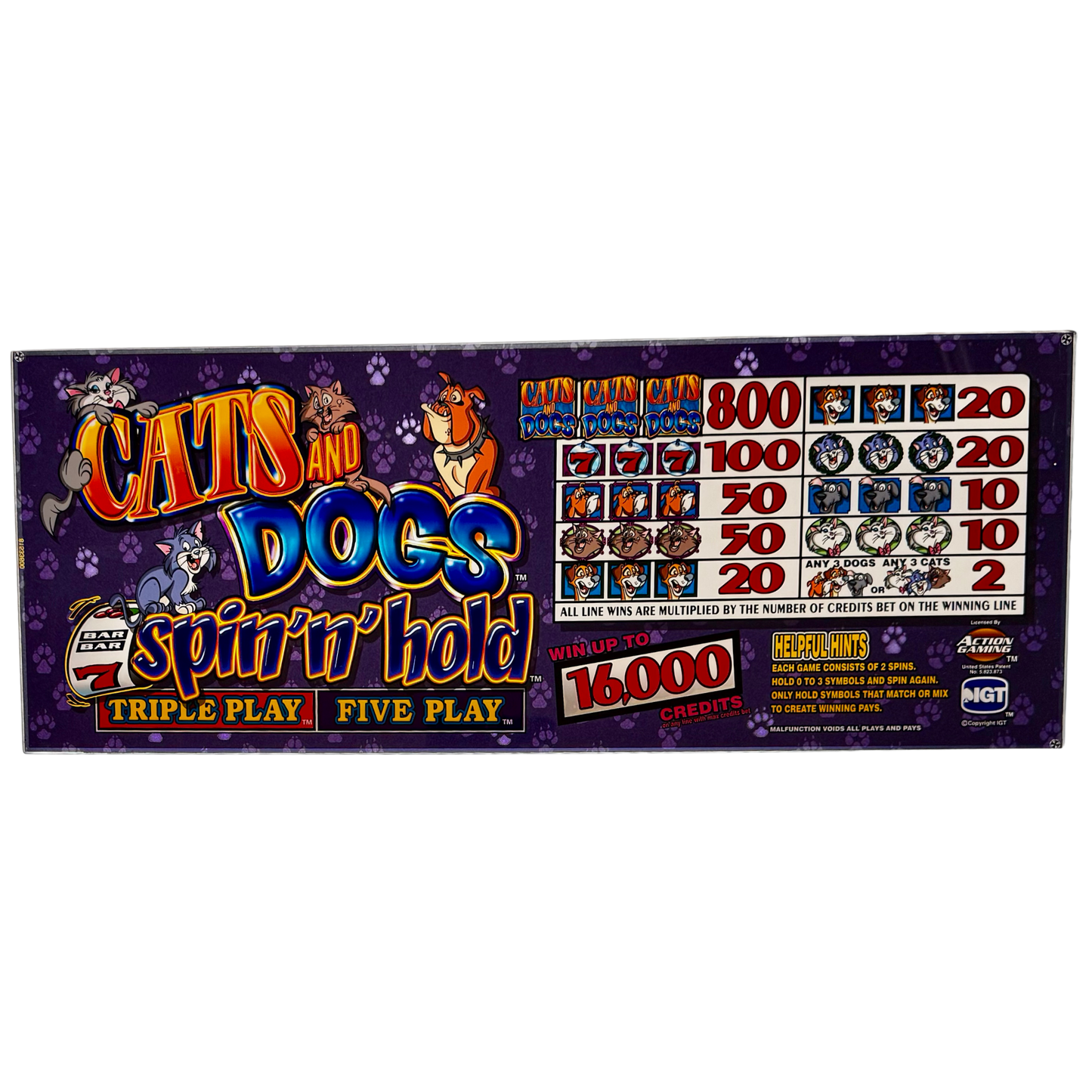 Cats And Dogs Slot Glass