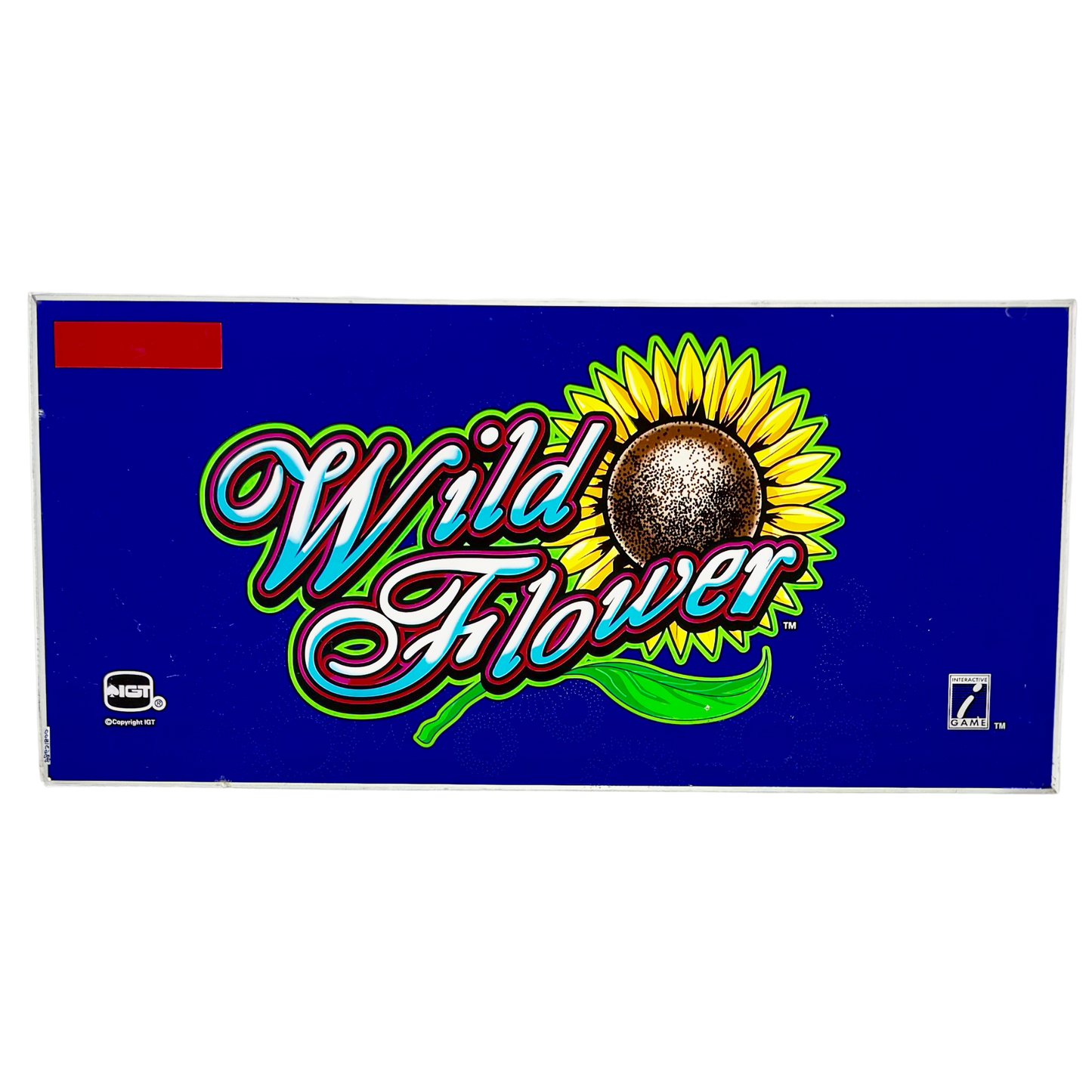 Wild Flower Slot Glass