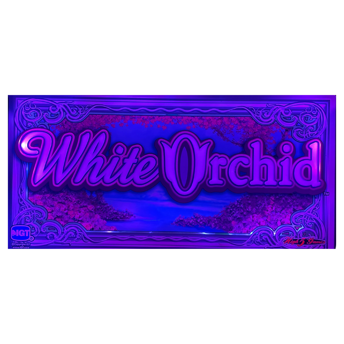 White Orchid Slot Glass