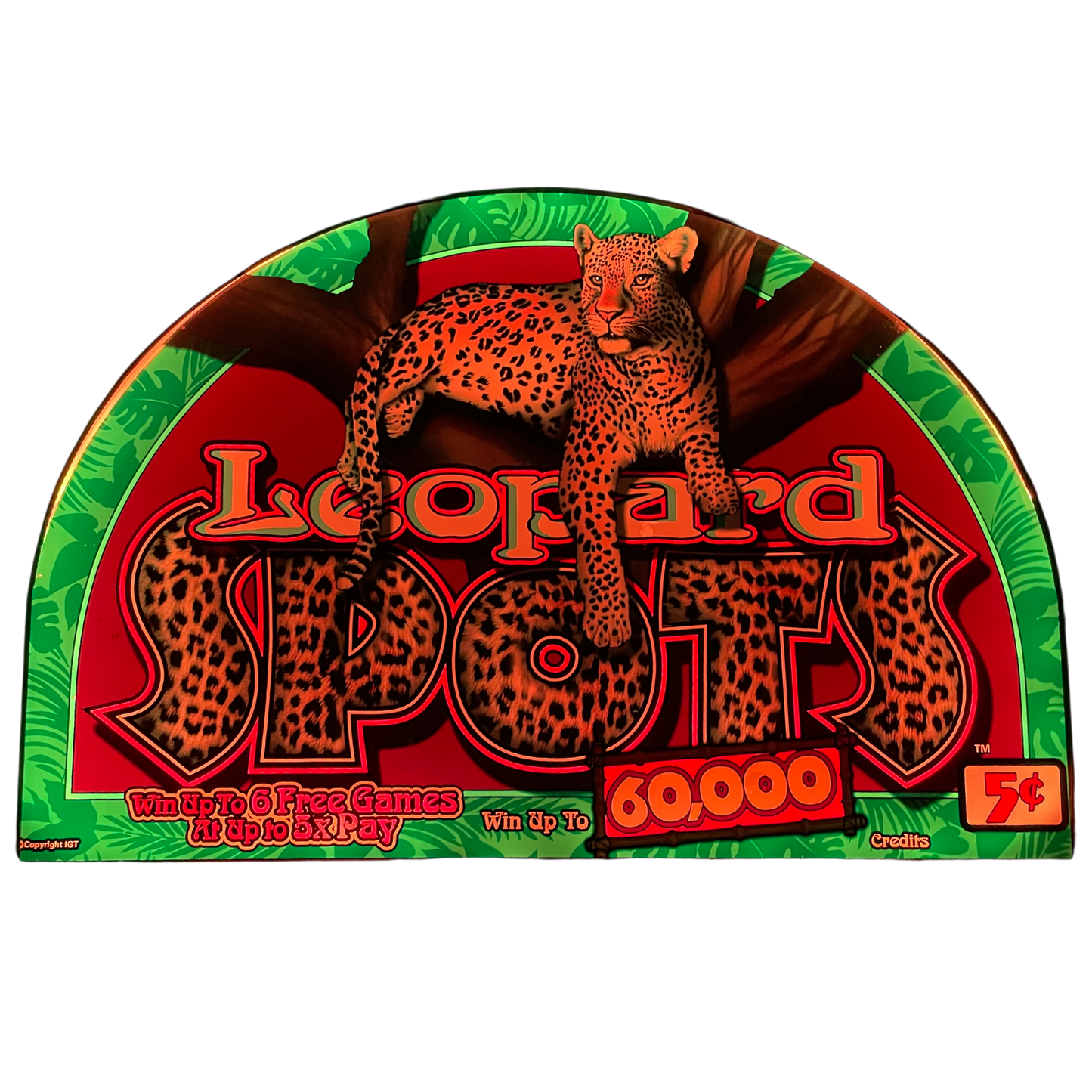 Leopard Spots Slot Glass