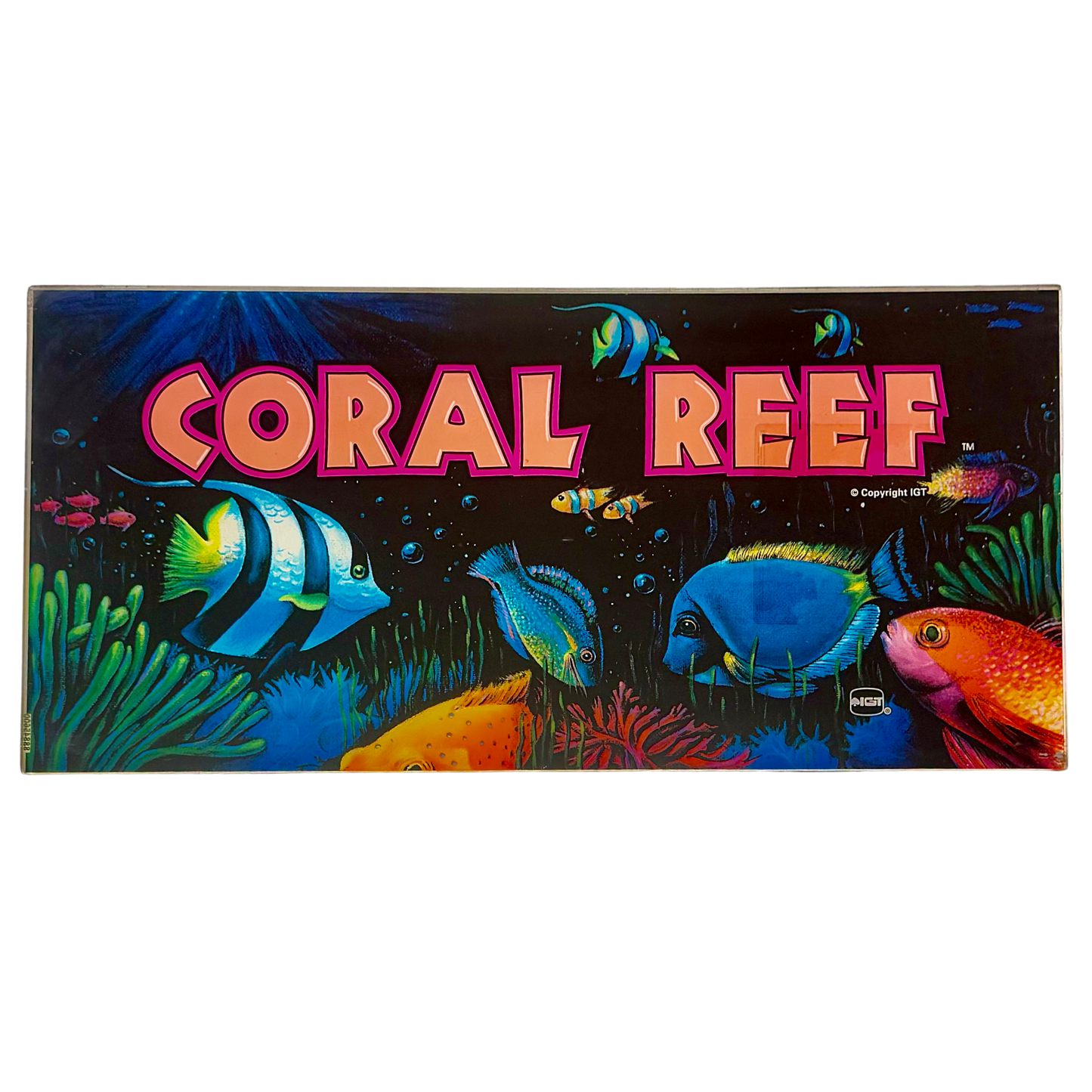 Coral Reef Slot Glass