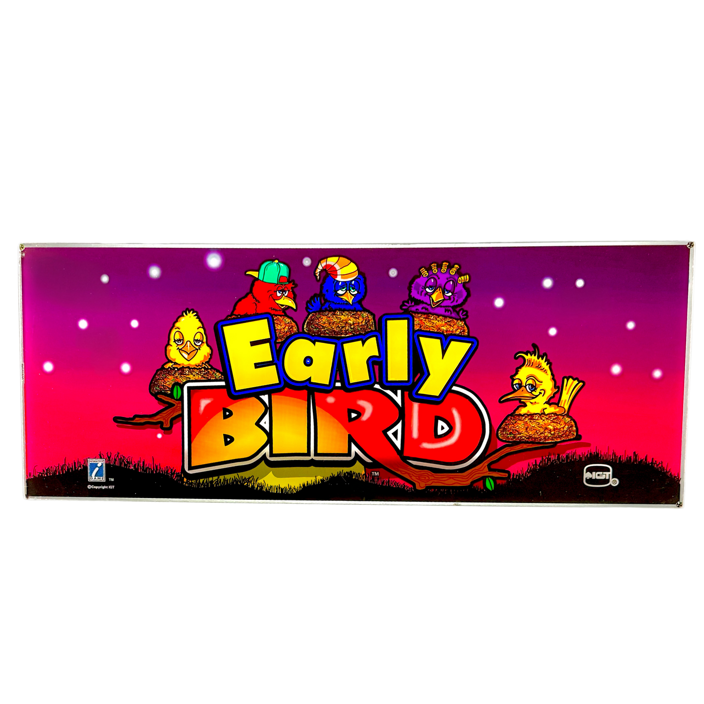 Early Bird Slot Glass