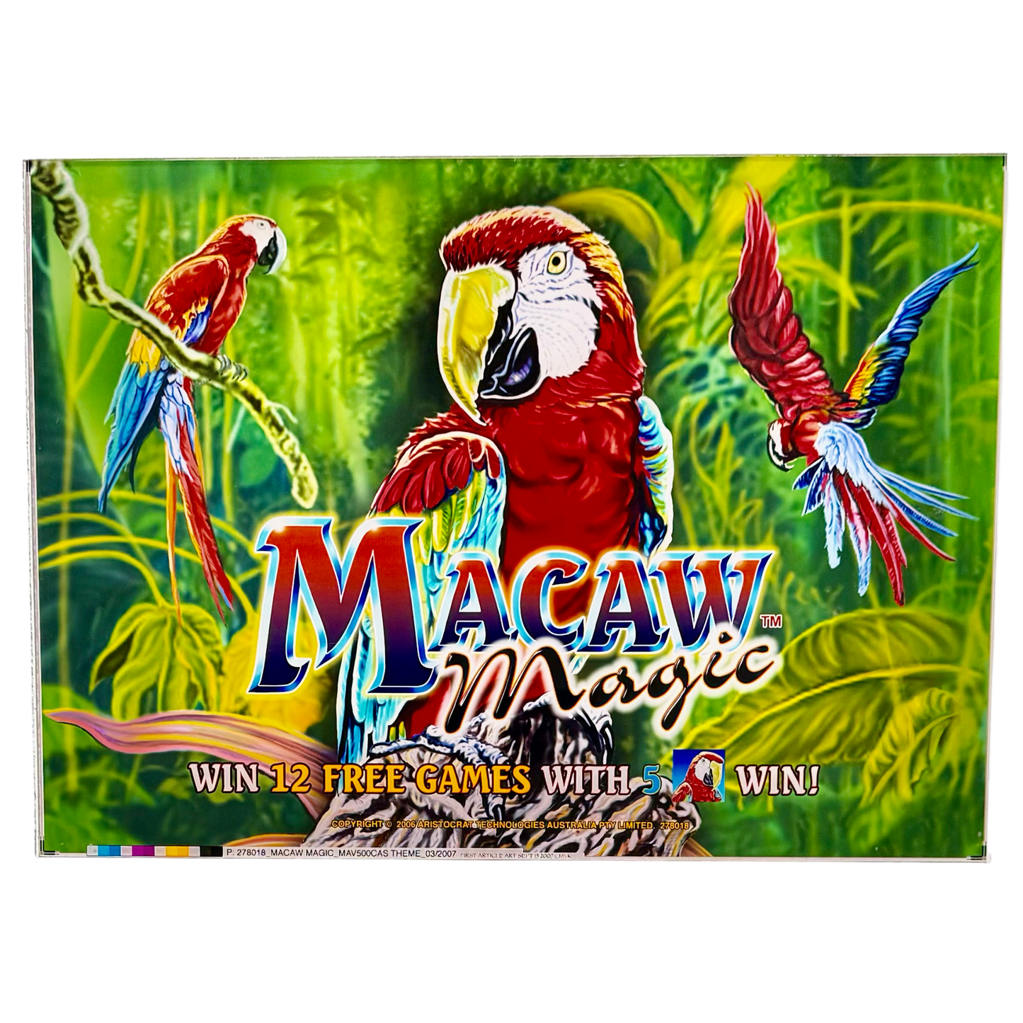 Macaw Magic Slot Retro Acrylic