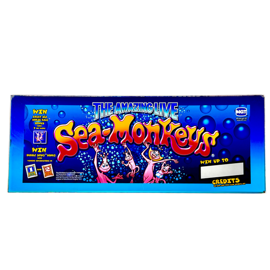 Sea-Monkeys Slot Glass