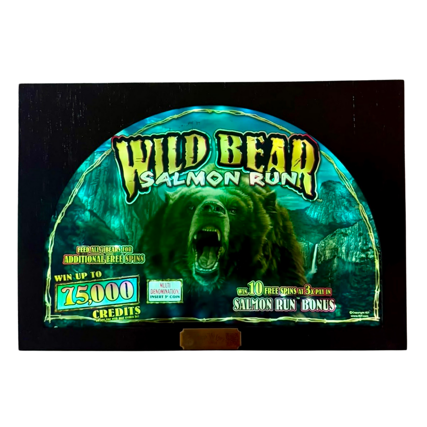 Wild Bear Salmon Run Slot Glass