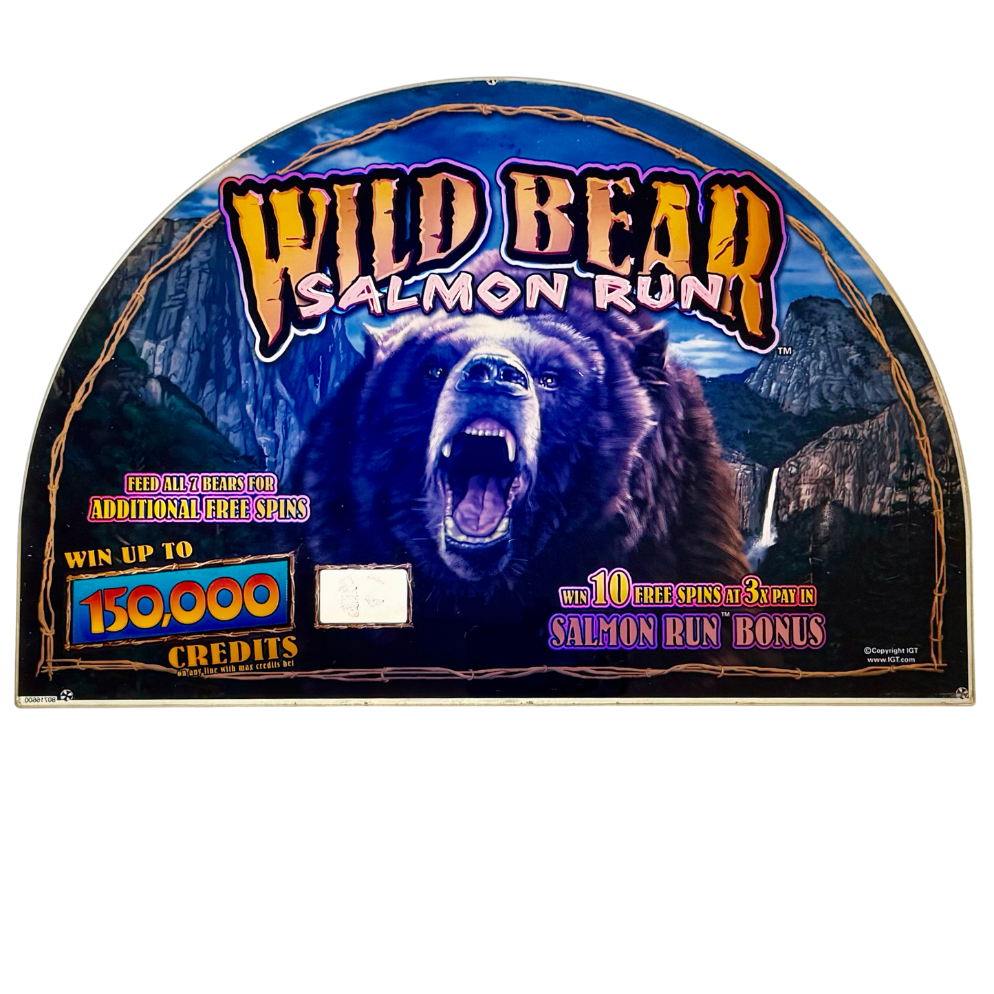 Wild Bear Salmon Run Slot Glass