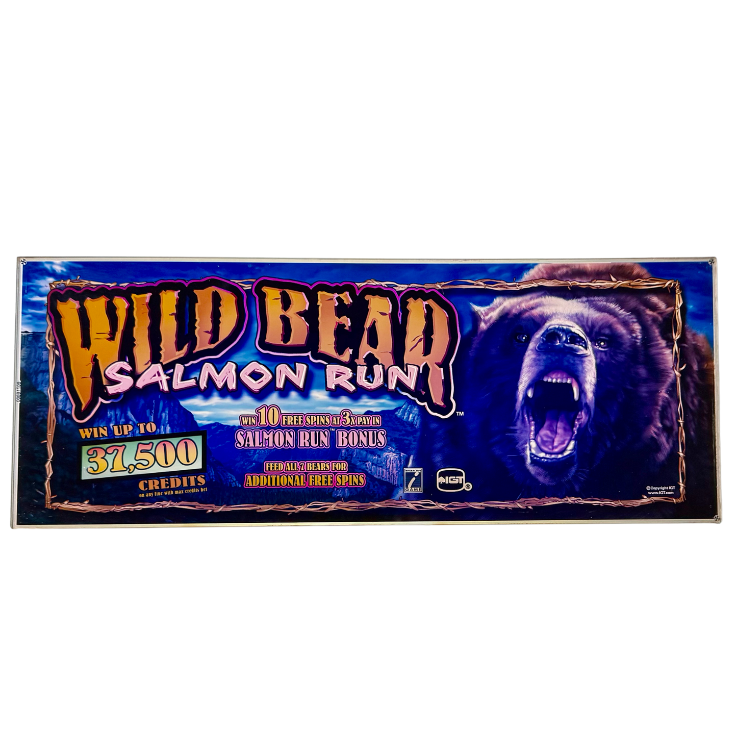 Wild Bear Salmon Run Slot Glass