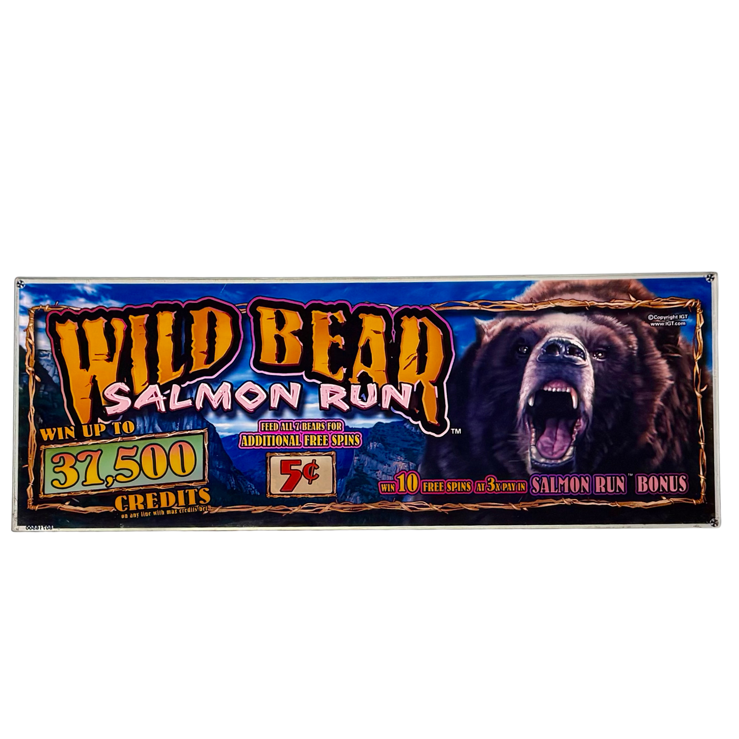 Wild Bear Salmon Run Slot Glass