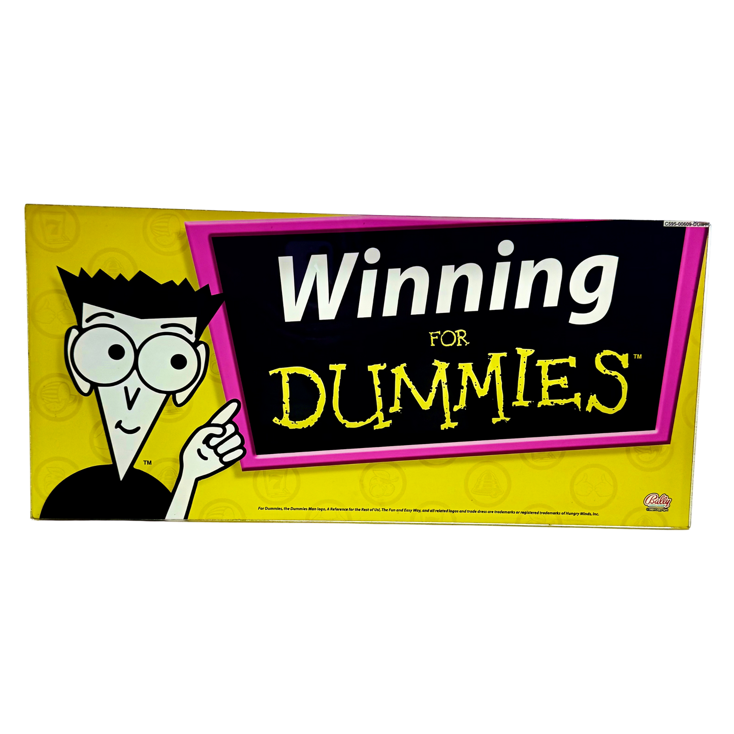Winning For Dummies Slot Glass